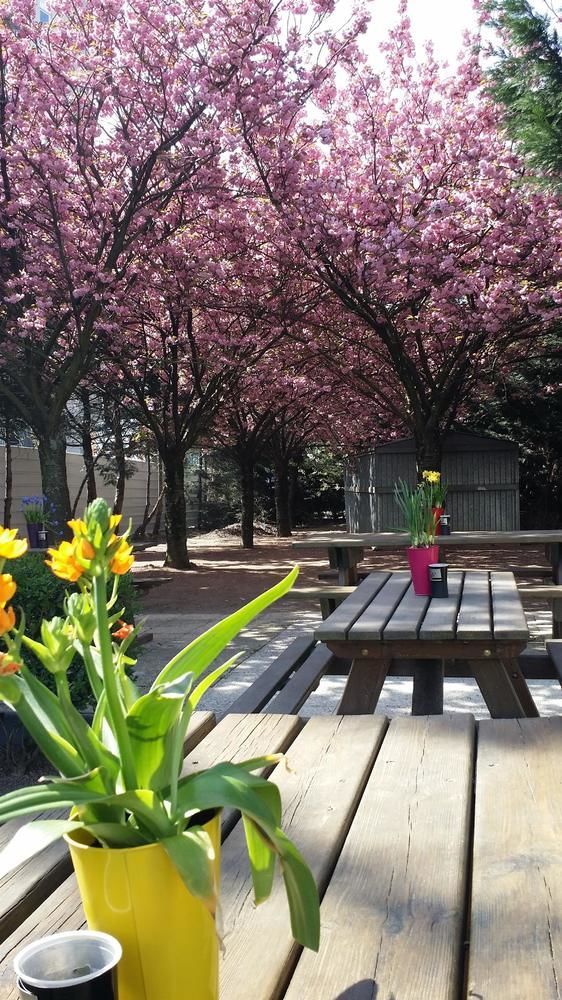 Premiere Classe Montreuil Montreuil  Exterior foto The courtyard at the school
